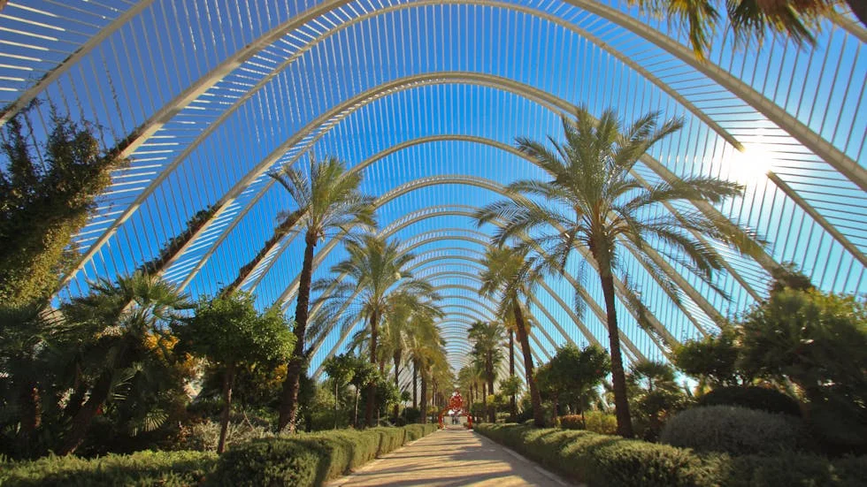 Teràpia Online a València - Psicòloga Online València