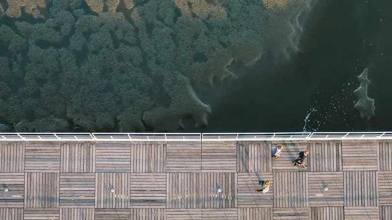 Autolesions: comprendre, ajudar i prevenir