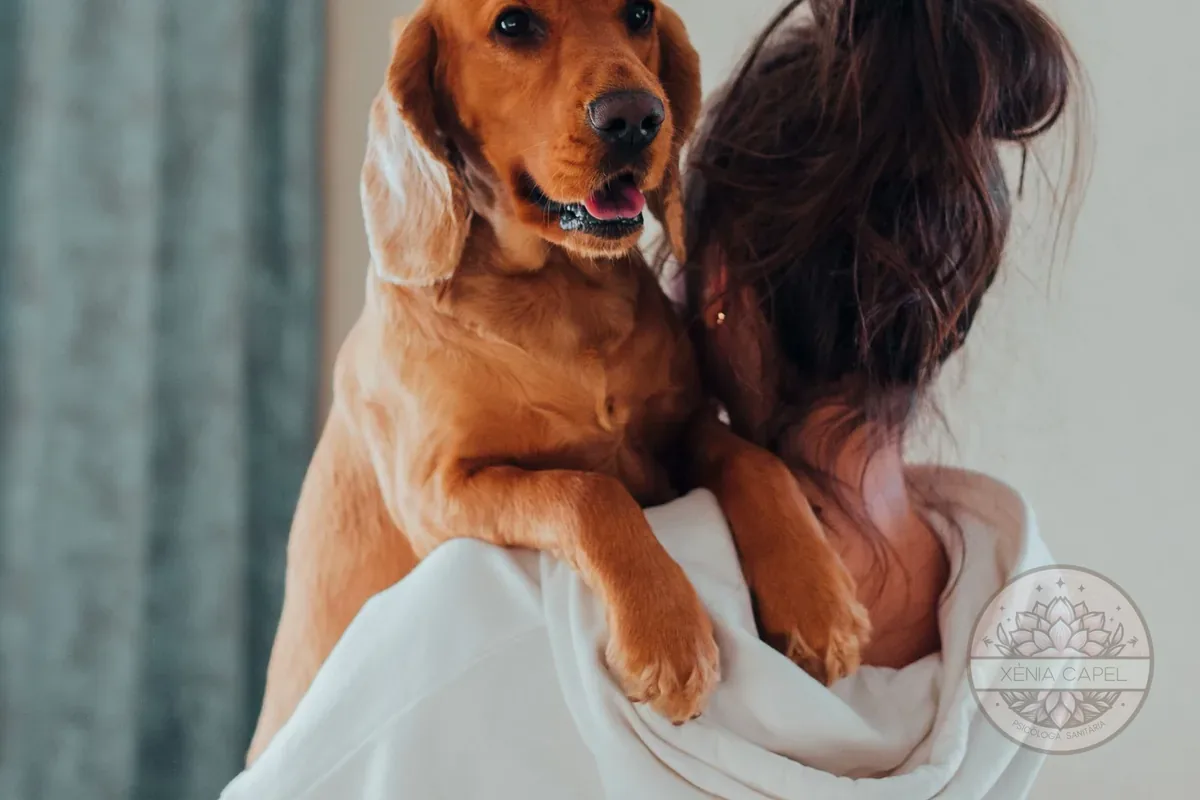 Pet loss: a woman tenderly hugging her dog, the bond that is grieved