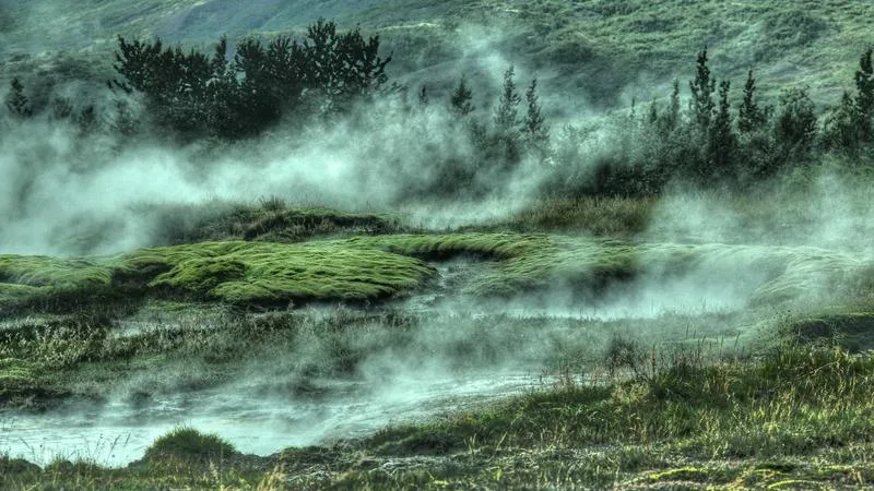 Trastorns del son: insomni, causes i tractament